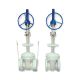 Gate Valve (#300-12