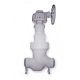 Globe Valve (A217-C5)