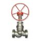 Globe Valve (A890-4A)