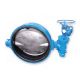 Double Offset Butterfly Valve (#150-54