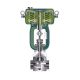 Globe (Micro-Flow) - VM4100